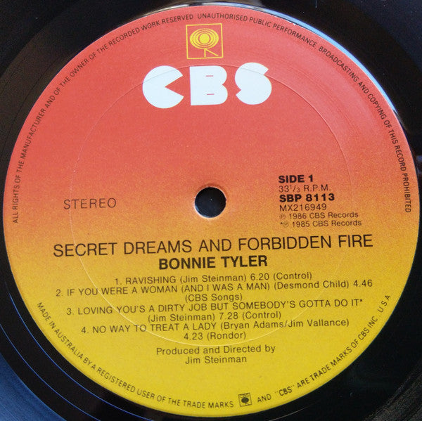 Bonnie Tyler : Secret Dreams And Forbidden Fire (LP, Album)