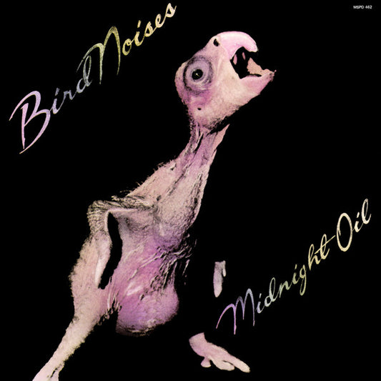 Midnight Oil : Bird Noises (12", EP)