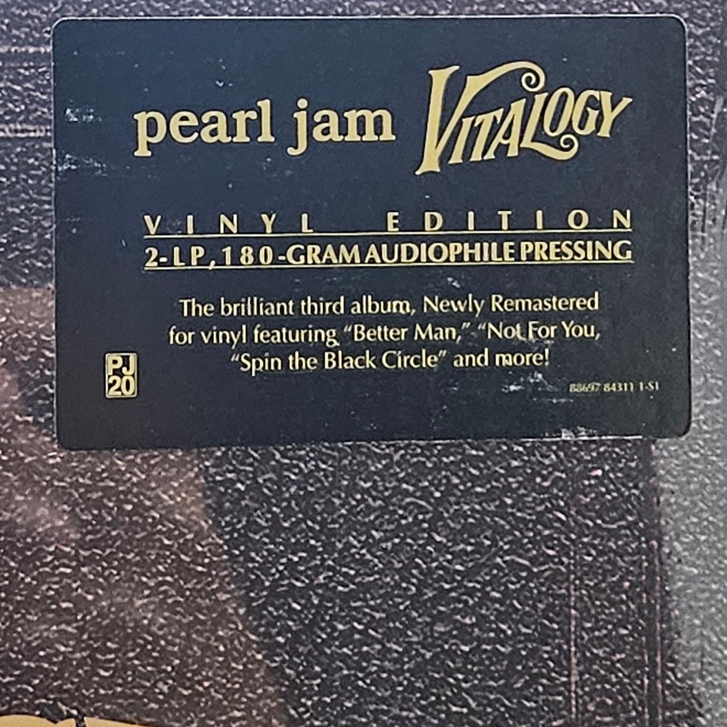 Pearl Jam – Vitalogy (2 × Vinyl, LP, Album, Remastered) Gatefold