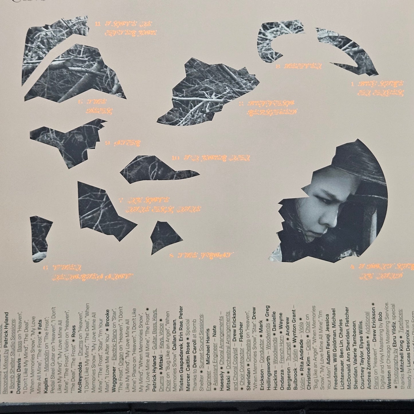 MITSKI
The Land Is Inhospitable and So Are We (Gatefold, Vinyl LP)