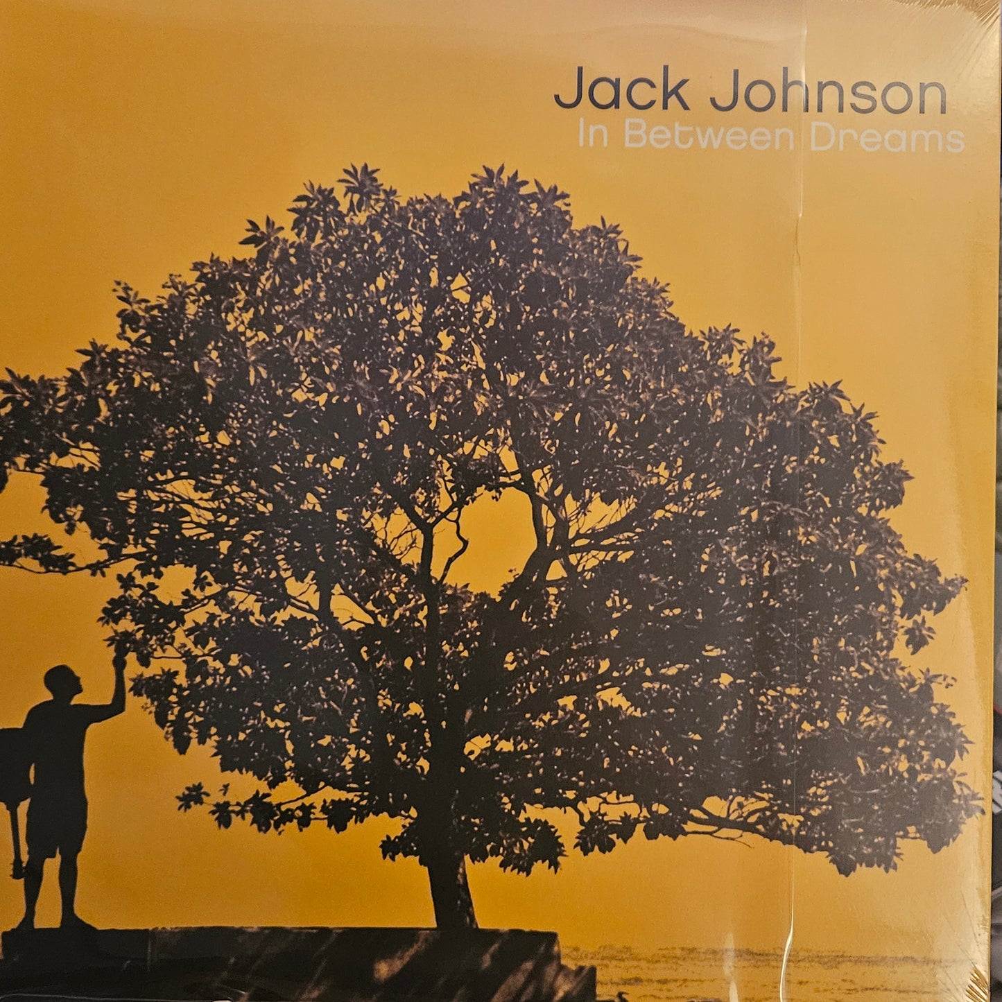 Jack Johnson - In Between Dreams Vinyl Gatefold