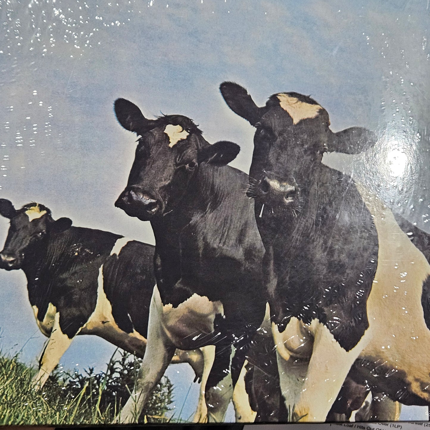 Pink Floyd – Atom Heart Mother (Vinyl, LP, Album, Remastered, Stereo, Gatefold, 180g)