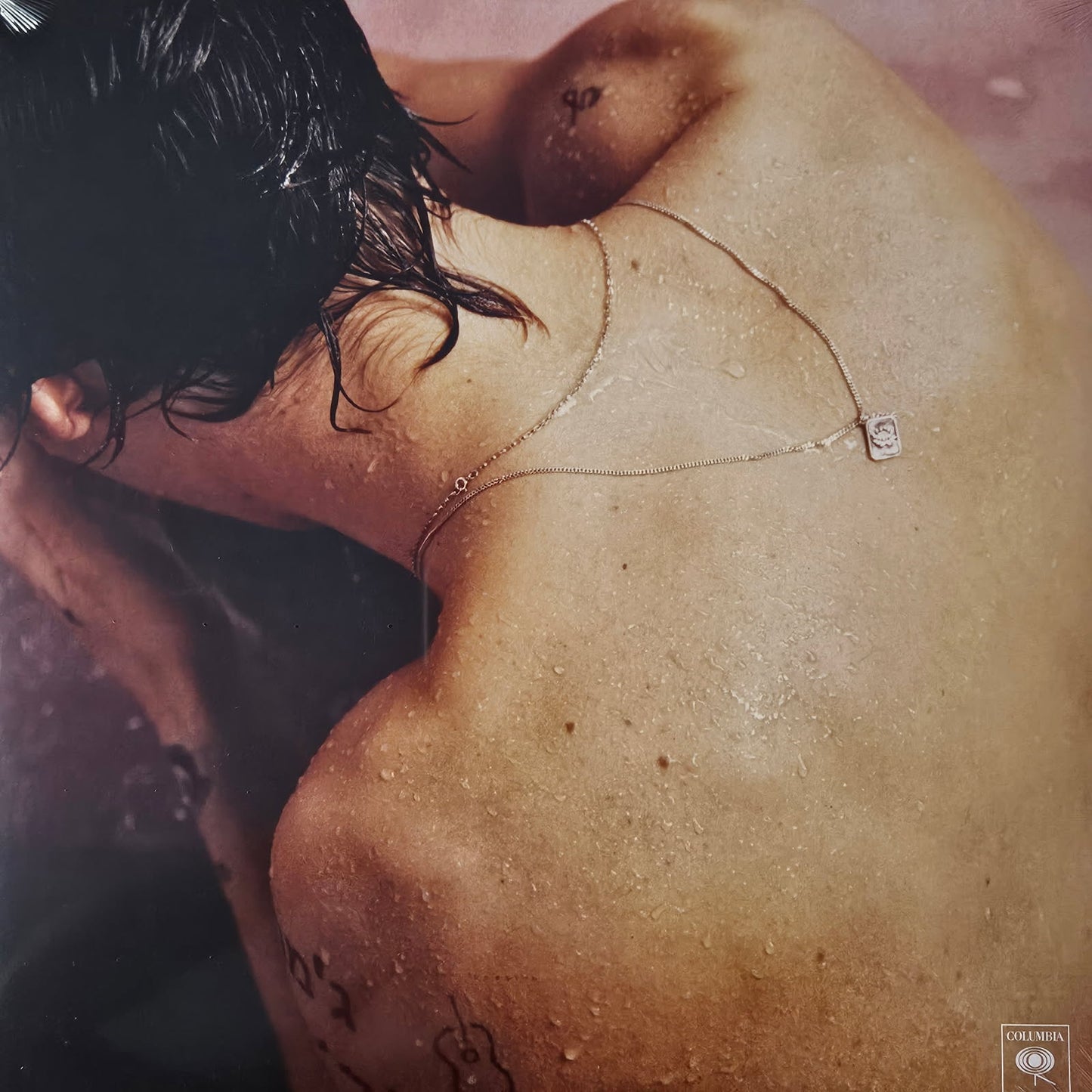 HARRY STYLE SELF TITLED DEBUT VINYL