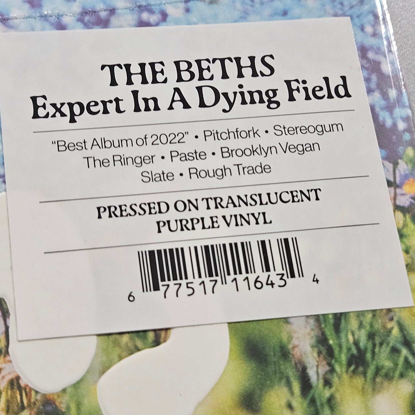 The Beths / Expert In A Dying Field Translucent Purple LP Gatefold